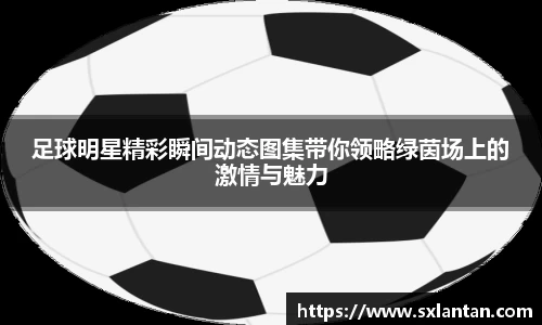 bsports官网入口